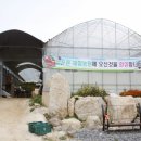 푸른2농장 이미지