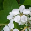 당림미술관 이미지