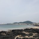 삼양환해장성 티스토리