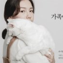 유기스튜디오 이미지