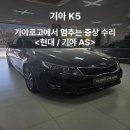 솔로몬카인테리어 네이버블로그