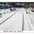 손자농장 네이버블로그