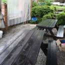 아지랑냉이랑 이미지