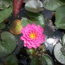 찬우물약수터 이미지