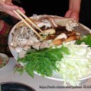 뿌리식당 이미지