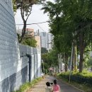 동덕관 | 2024년 6월 13일 (+대봉캠핑랜드)