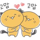 왕십리 고양이 위너펫 24시 이미지