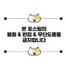카페마실애