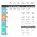 씽씽라이프 | 신생아 기저귀 2단계 모모래빗 에코씽씽 사이즈 팁 후기