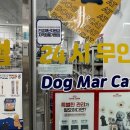 도그럭스 이미지