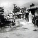 태춘당약국 이미지