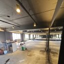 당근헬스 이미지