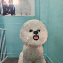 에바가위컷 전문점 이미지