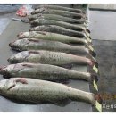 강산해 농장 이미지