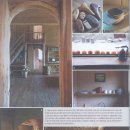 스테이나무 이미지