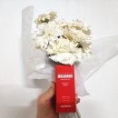 메디필약국 이미지