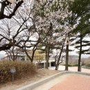 (주)폴리포니 | [음악 임용] 오르가눔 &amp; 삼분손익법 (feat. 유지연 교수님 심화이론반)