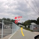 반곡테니스장 실외코트 이미지