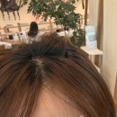 하이소컨설팅 | [차홍룸 올림픽공원점] 주황기 탈출! 여쿨라 찰떡 블랙브라운 염색후기 (feat. 김은지 디자이너)