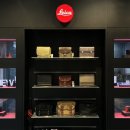D-8 | 라이카 Leica D-LUX 8 구매 후기 + 찍은 사진들