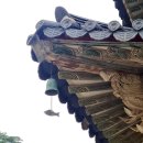 정원 행정사사무소 네이버블로그