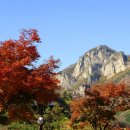 11월6일(2018-38차) 장성 백암산(명산100) 백양사 단풍 축제 산행안내 이미지