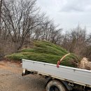 모량농장 이미지