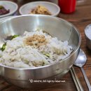 관동횟집 | 삼척 먹거리 삼척항 물회 맛집 신화횟집 내돈내먹 후기