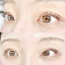 [고양/백석역] 델라뷰티 (일산속눈썹펌 솔직후기)