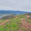 힐링공인중개사사무소 이미지