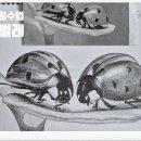 화현면주민자치센터 | 연필드로잉 수업 후기 #아름동주민자치센터 #초보연필드로잉