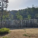 라인행정사 이미지