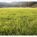 쇠똥구리마을 이미지