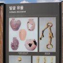 노고봉산성과 애기바위산성 | [세종시] 남성골 산성