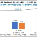 베트남바라기