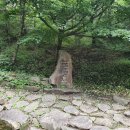 느티나무길>금강공원길 이미지