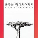 [누구나]＜화폐박물관 특별전＞사진작가 정혜원 사진전 '꿈꾸는 마다가스카르'/화폐박물관 이미지