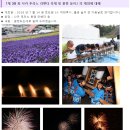 홋카이도 라벤더 축제 후라노 비에이 7월 여름 불꽃놀이 마츠리.! 이미지