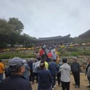 은혜네 영양굴밥 | “서산, 노을에 물든 역사”“서해의 노을, 천년의 빛 – 서산으로 떠나는 대전고 57회 동기들의 역사...