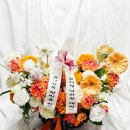 남바완스토리 이미지