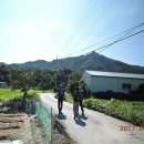 중앙동121 이미지