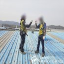둔포볼트