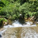 개울농장 이미지