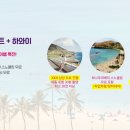 [신혼여행 박람회]2월 23~24...허니문리조트 전국 지사 동시 개최