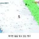 짱구 친구 맹구의 첫사랑 이야기 이미지