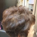 실크캐슬 이미지