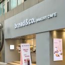 브레댄코강남 이미지