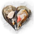 황가네 명품키조개 이미지