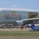 벨루가(Beluga) 이미지