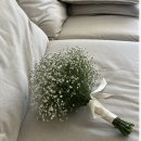 엣찌샵 | 사이스투디오, 촬영 후기 :)